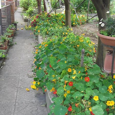Вилла Le Mimose Виетри Экстерьер фото