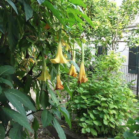 Вилла Le Mimose Виетри Экстерьер фото