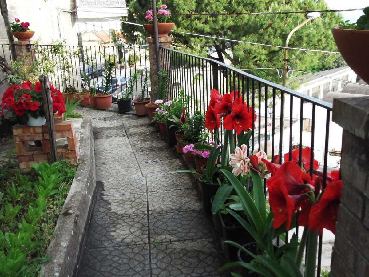 Вилла Le Mimose Виетри Экстерьер фото