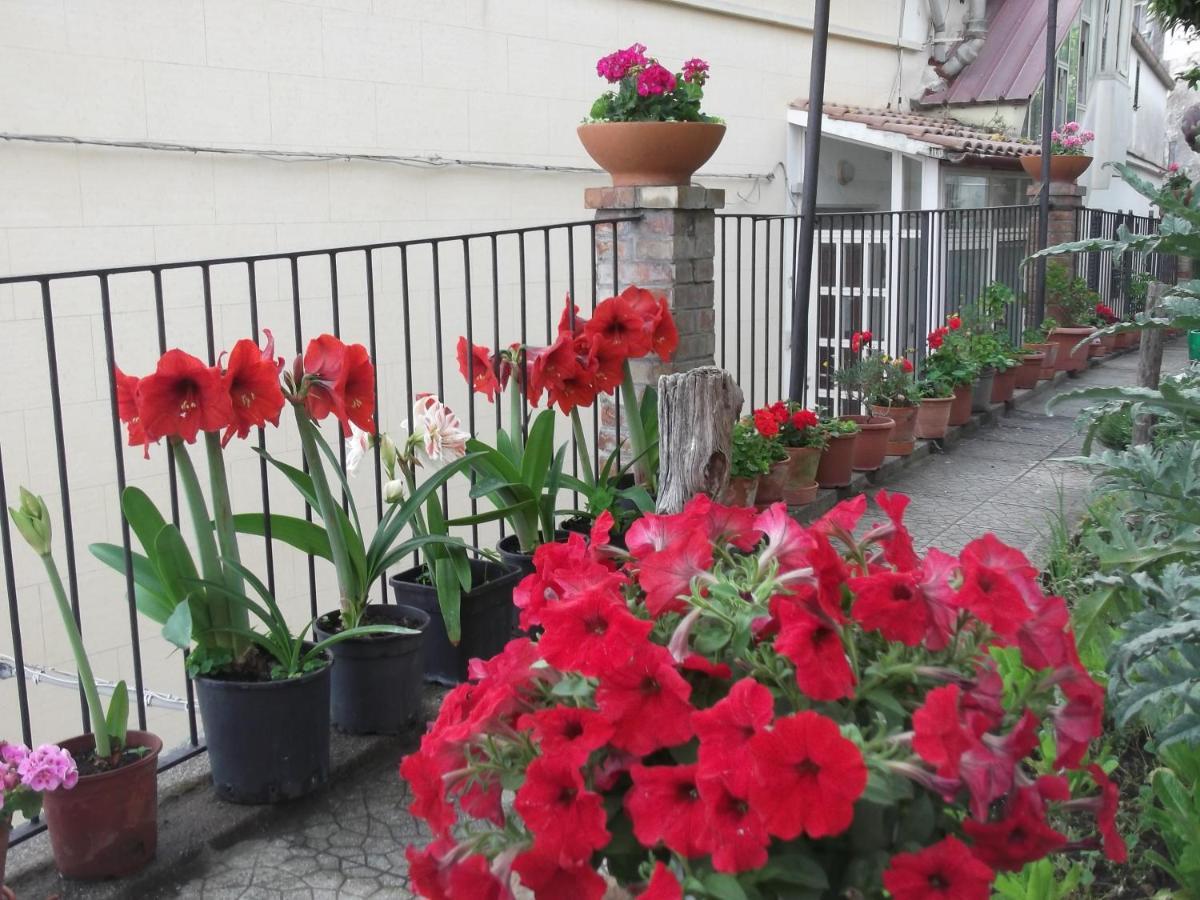 Вилла Le Mimose Виетри Экстерьер фото