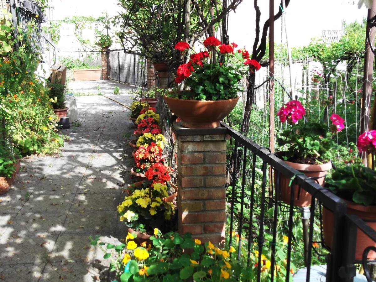 Вилла Le Mimose Виетри Экстерьер фото