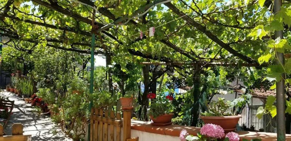Вилла Le Mimose Виетри Экстерьер фото